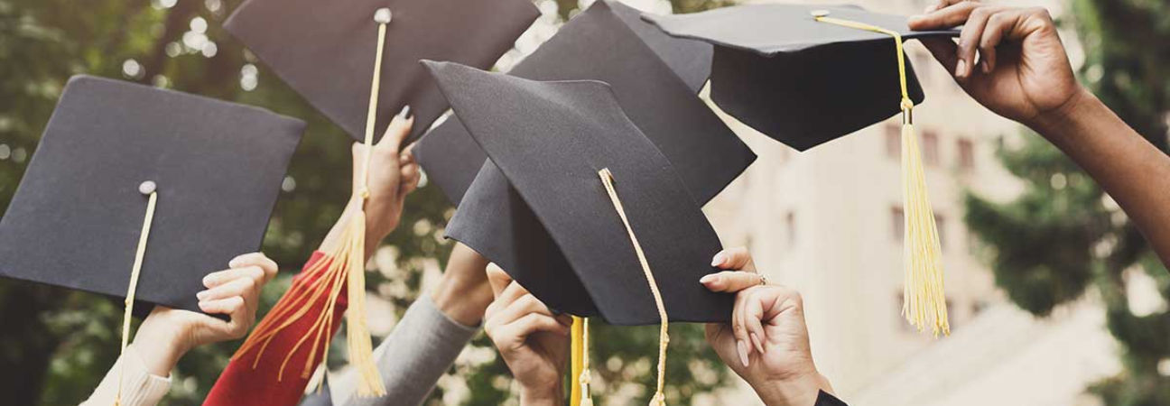 bachelor diplome