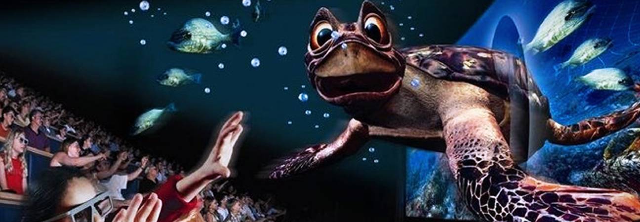 film 3D