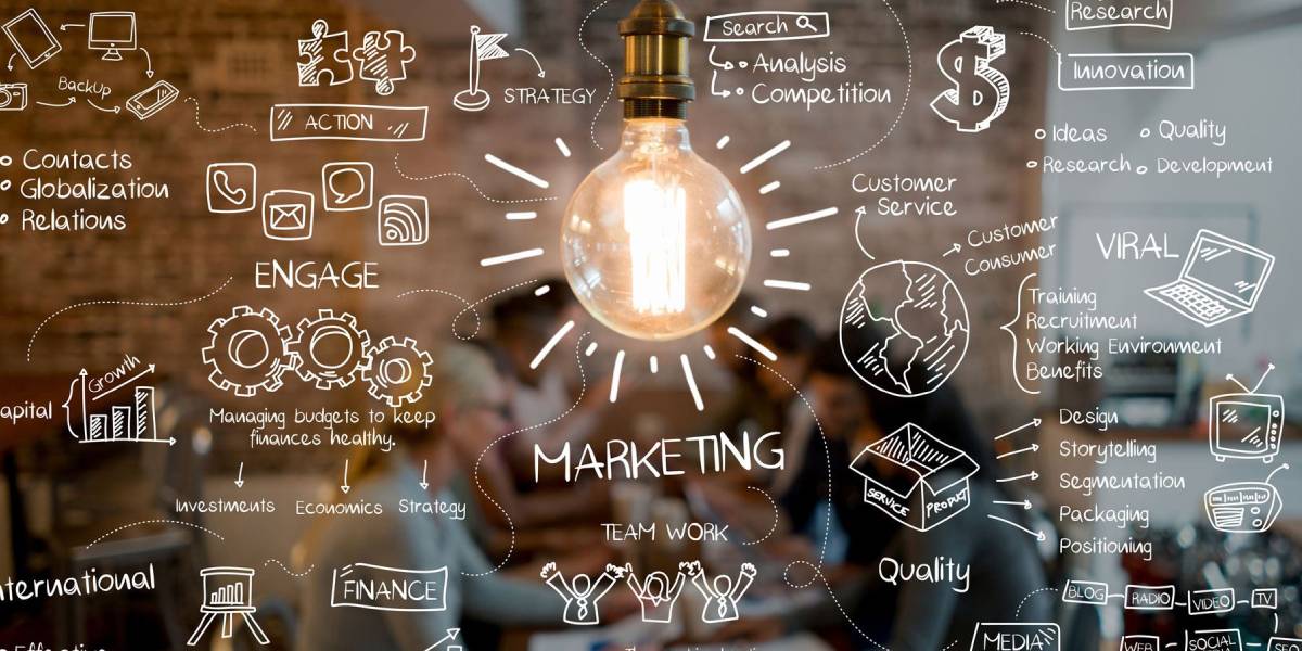 marketing cat
