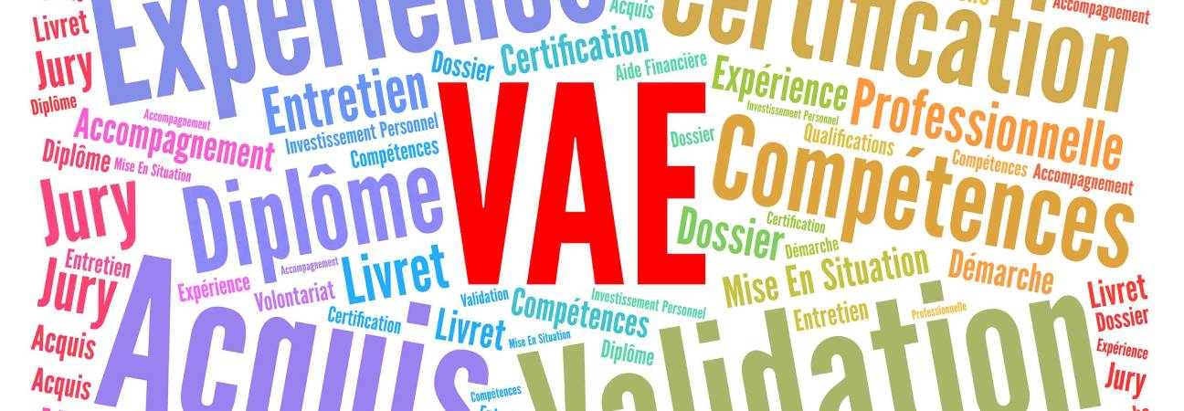 VAE