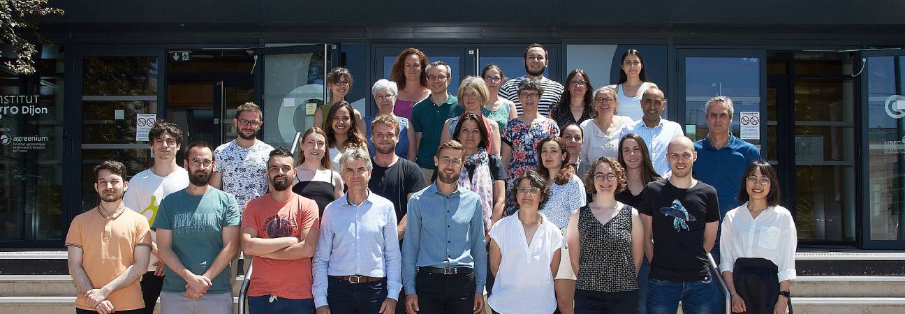 agrosup dijon ingenieur