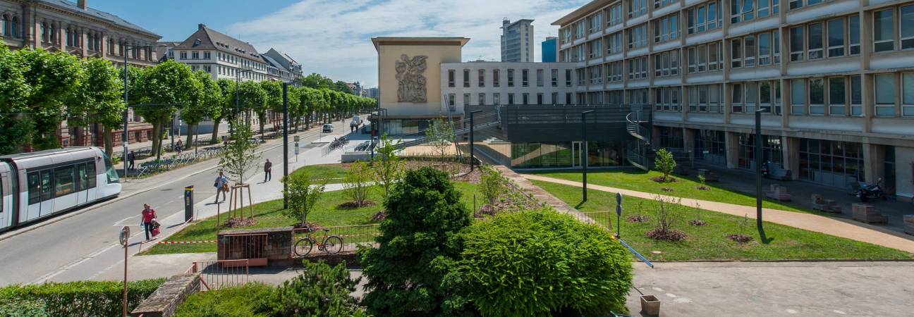 ecole insa