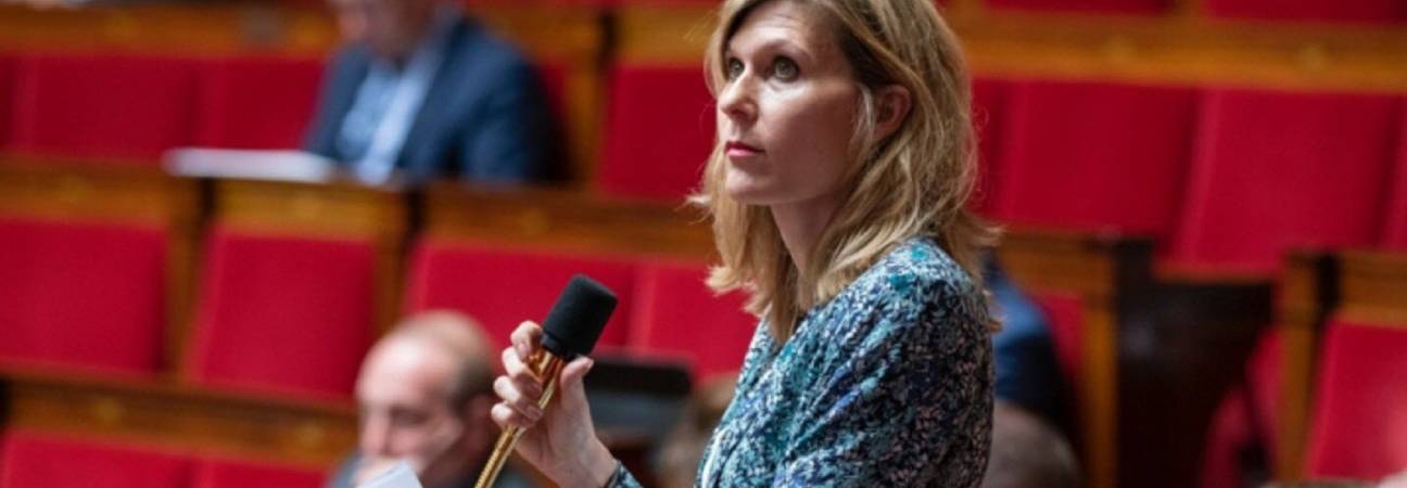 etudes devenir depute