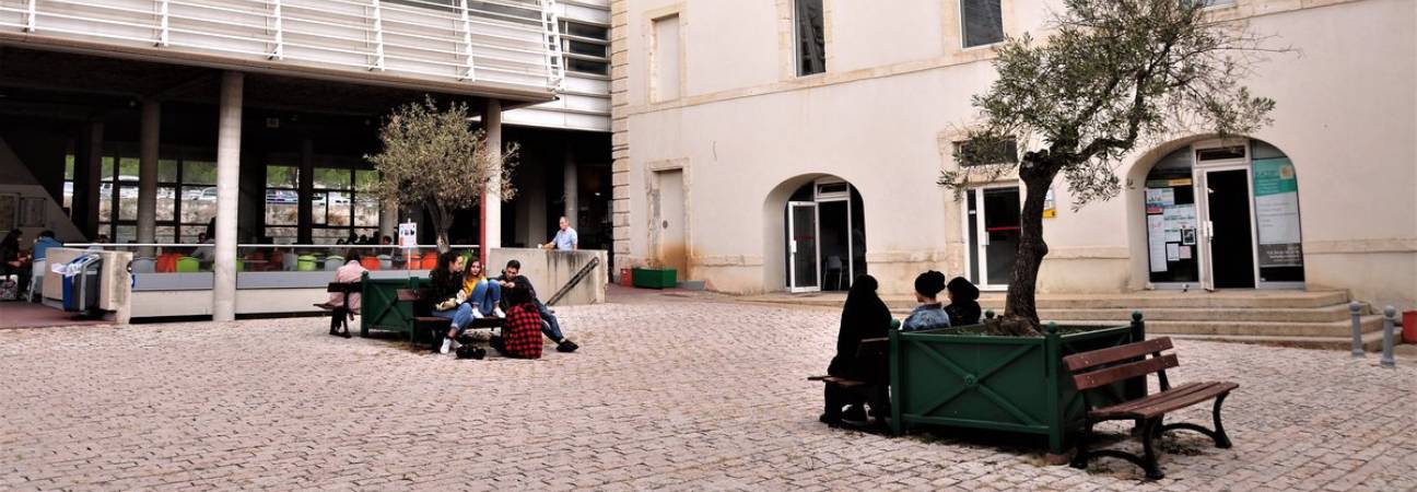 univ nimes