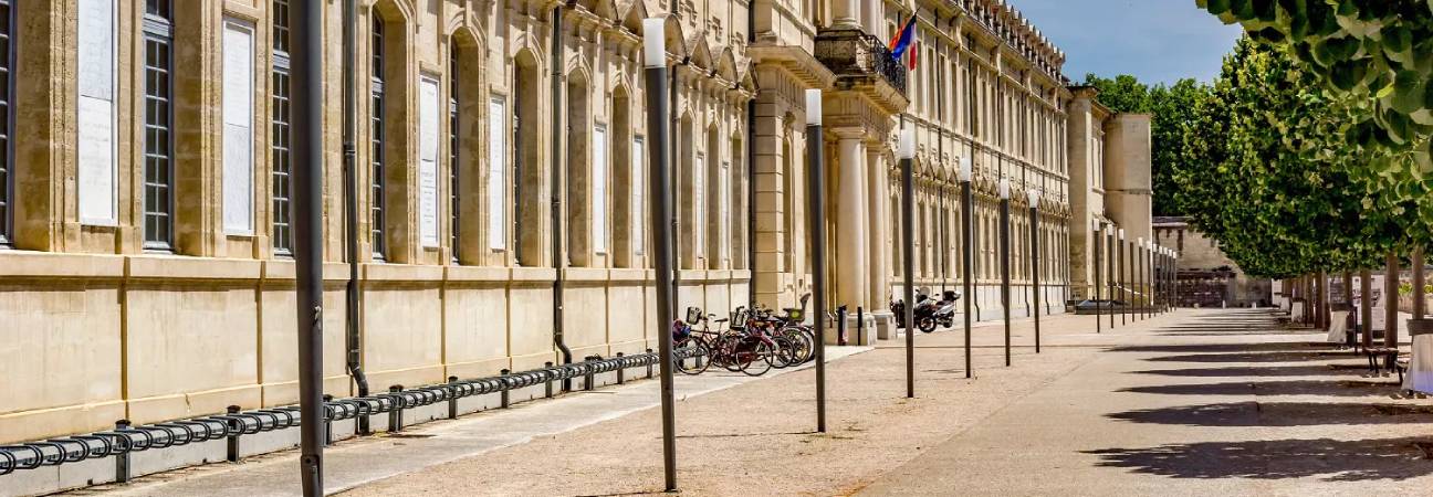 universite avignon