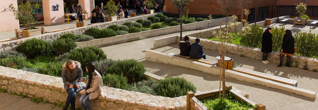 universite corse