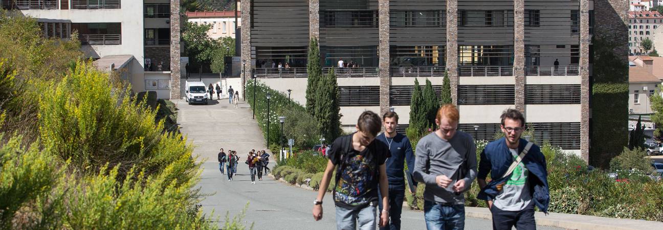 universite corsica