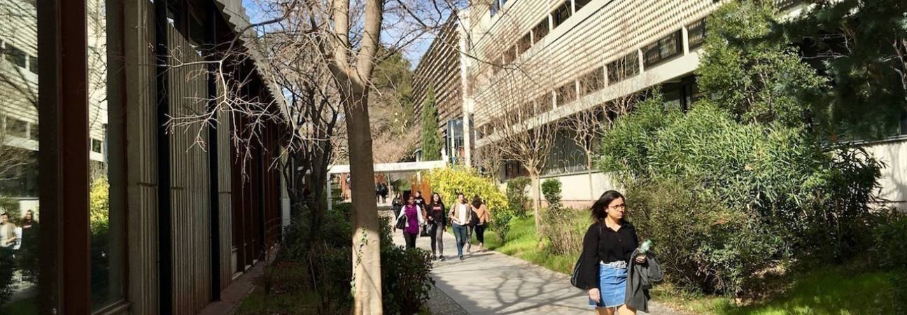 universite montpellier 3