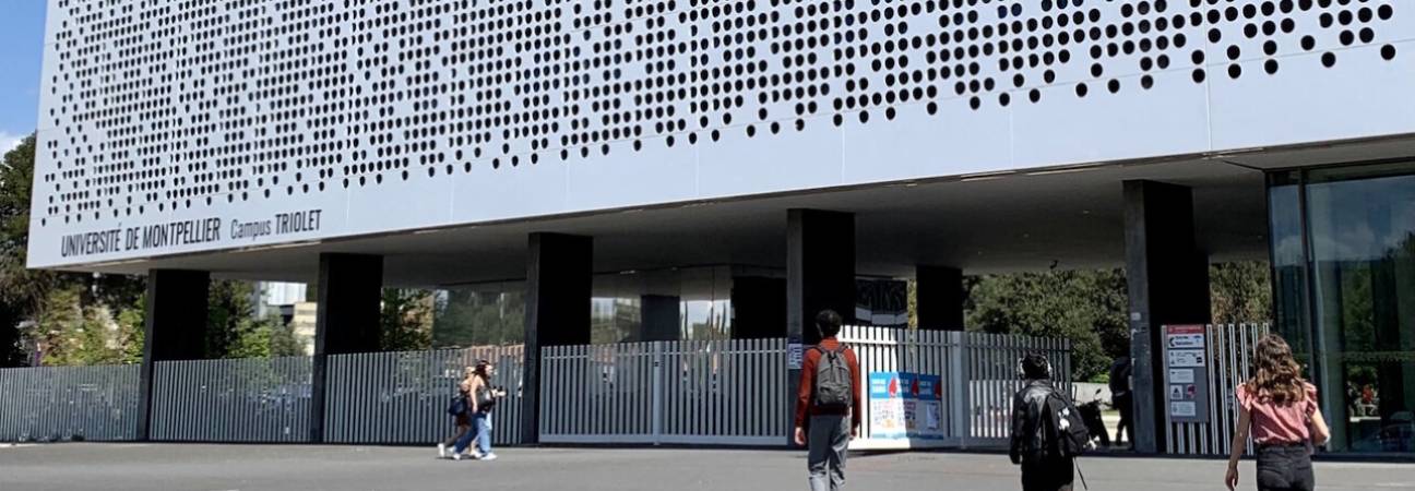 universite montpellier