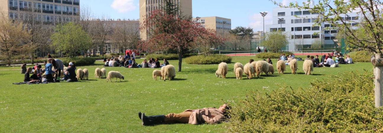 universite nanterre vert