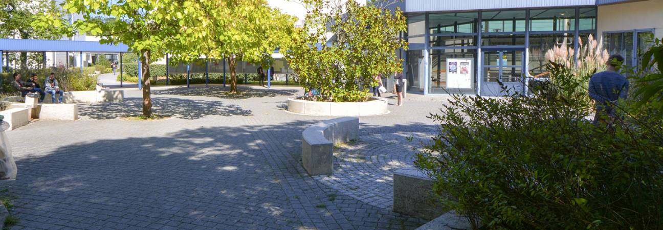 universite orleans