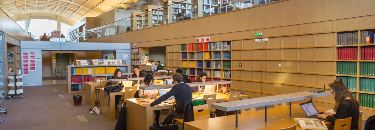 universite paris cite