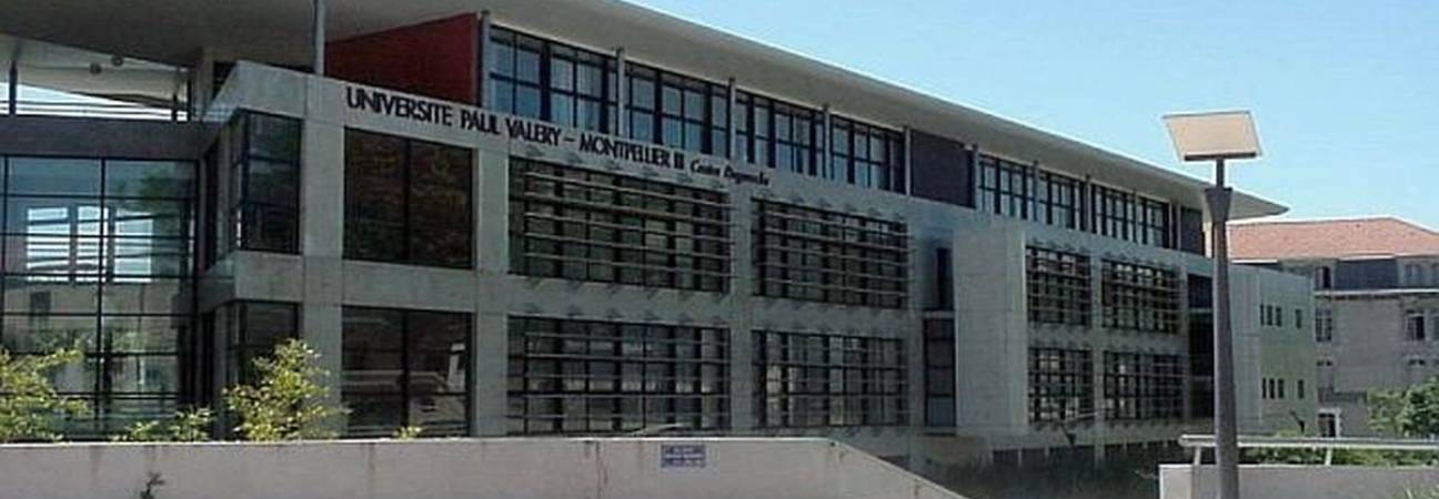 universite paul valery