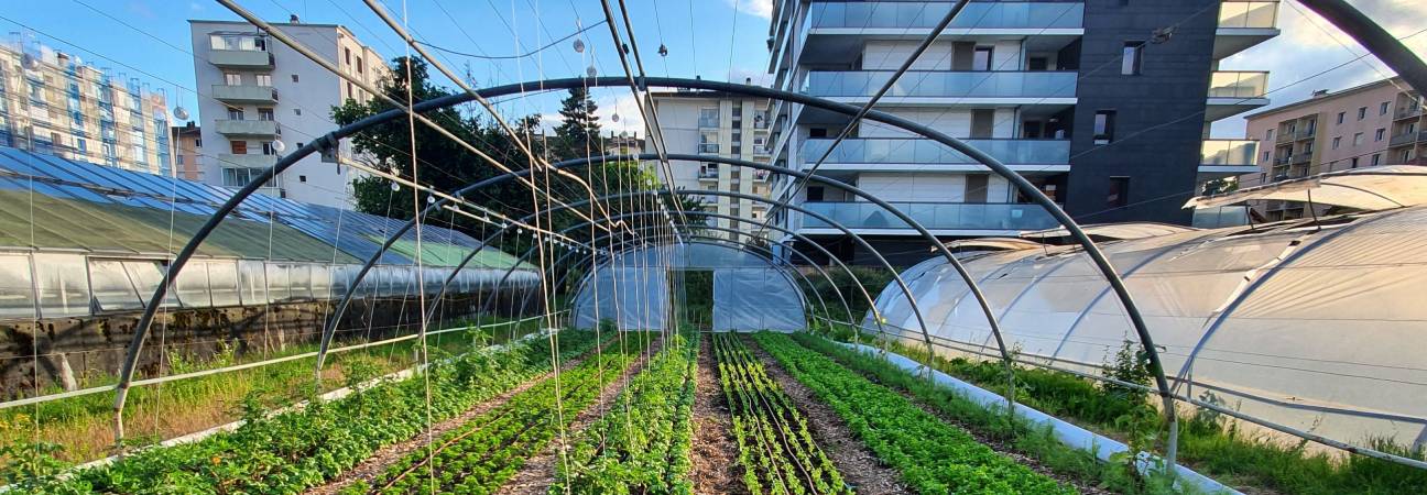 agriculteur urbain