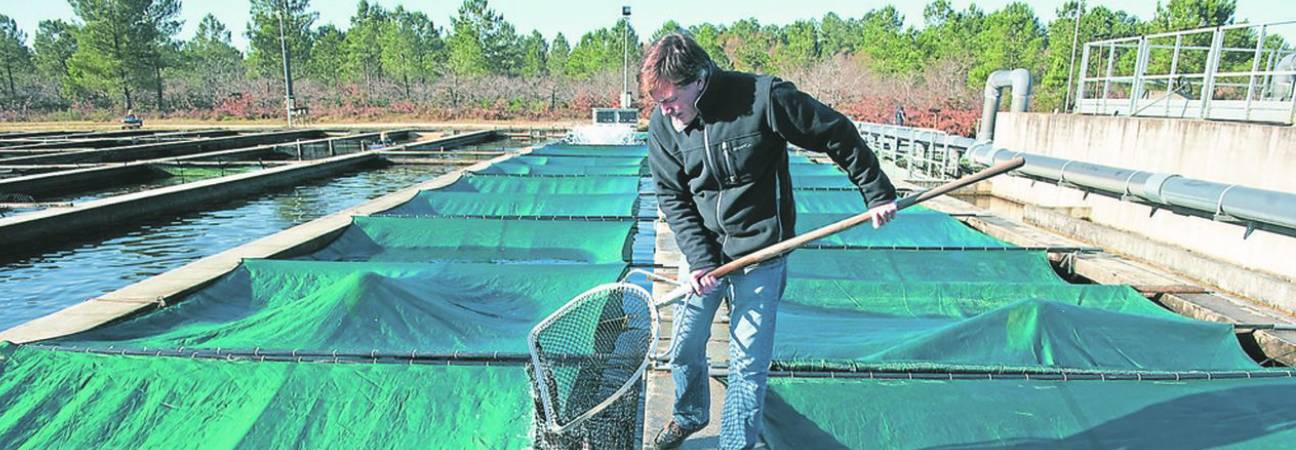 bts aquaculture