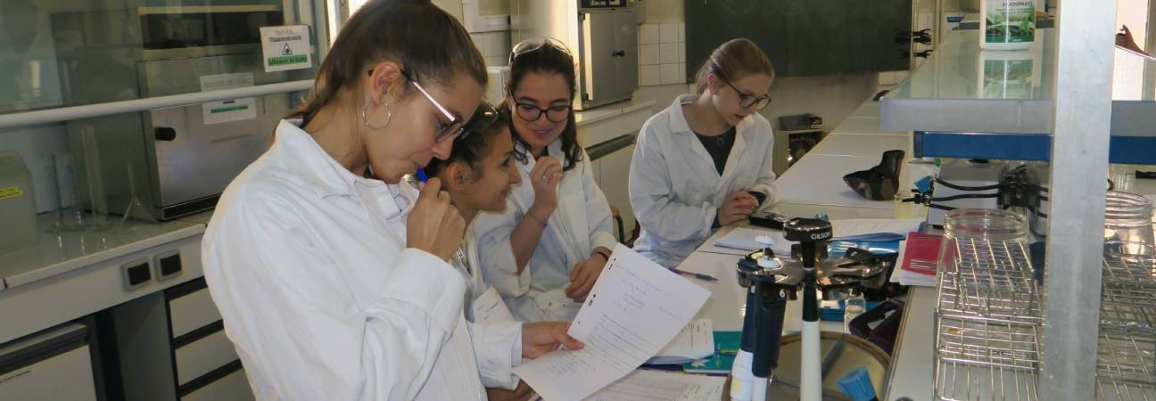 bts bioanalyse controle