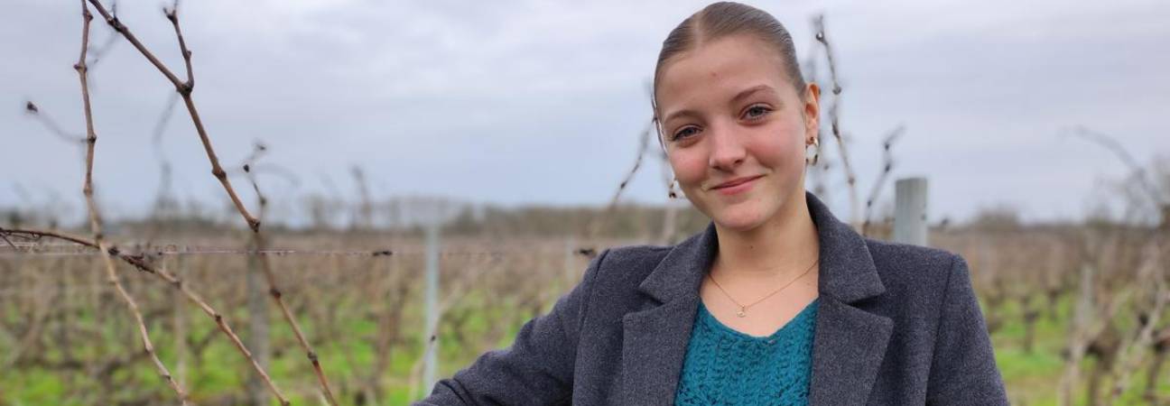 btsa viticulture