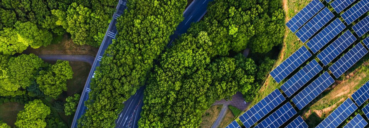 metier transition ecologique