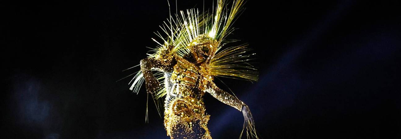 golden voyager jo 2024 cadre
