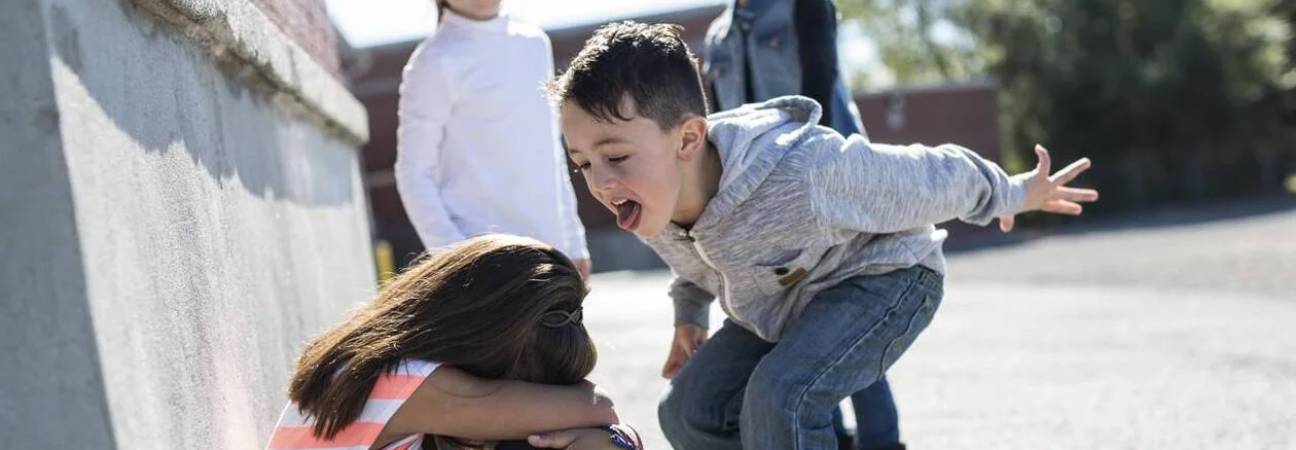 harcelement scolaire copains vigilants