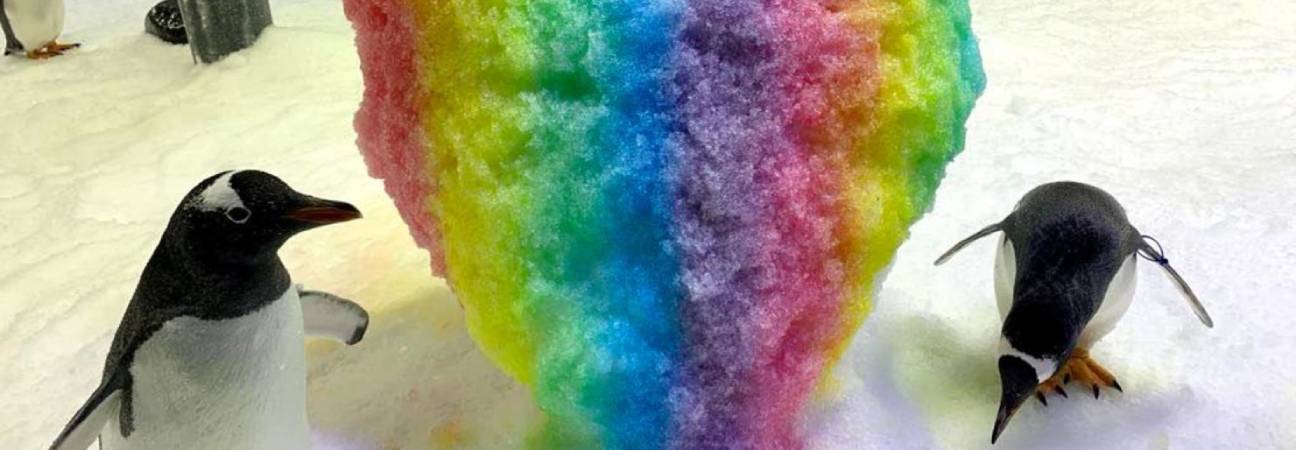 sphen magic manchot gay