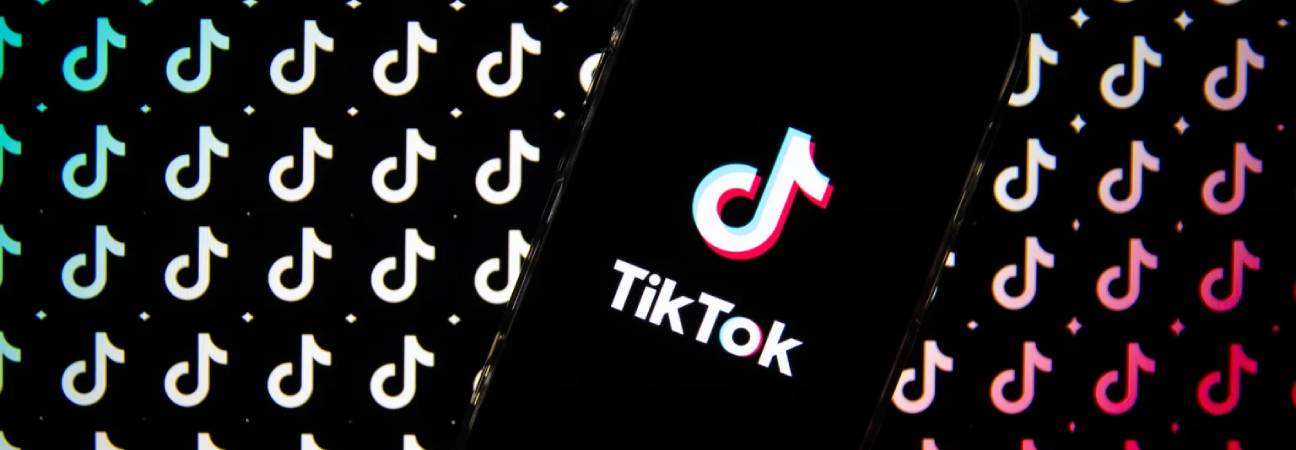 trend tik tok gimme my monney