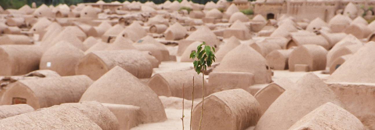 cimetiere kashgar