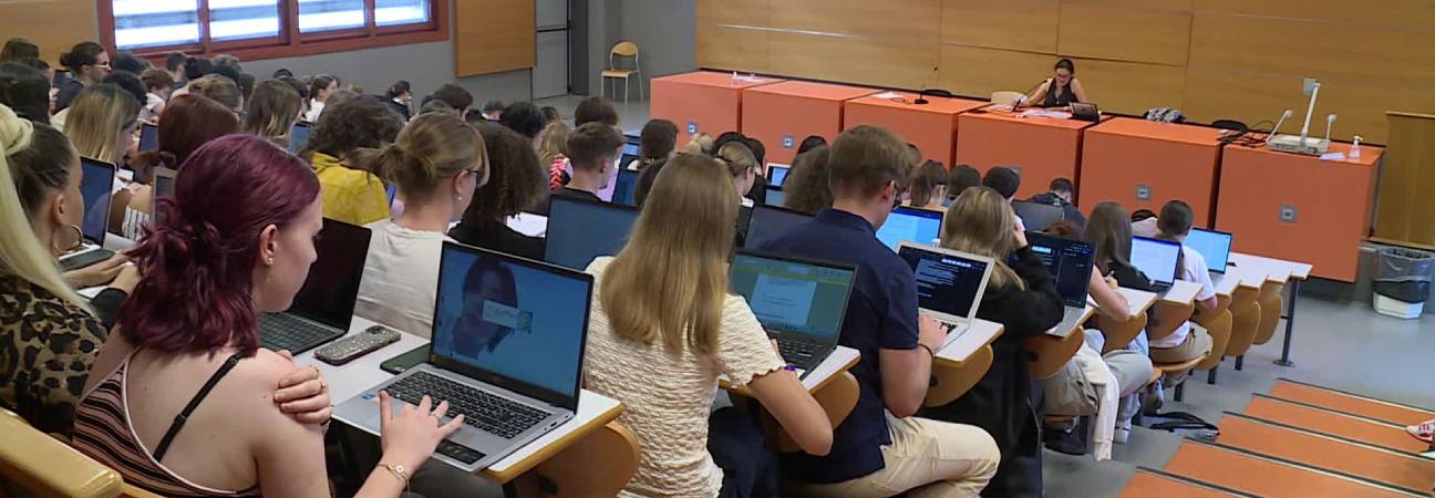reussite bac origine sociale