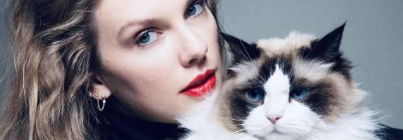 taylor swift kamla harris