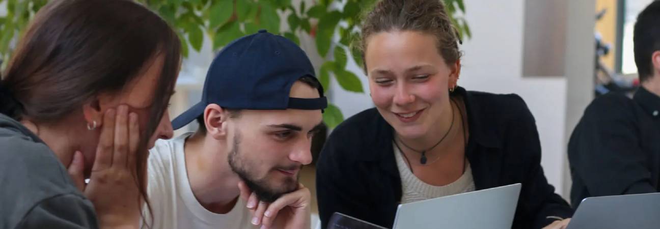 bachelor graphisme