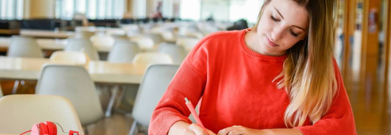 bachelor ressources humaines