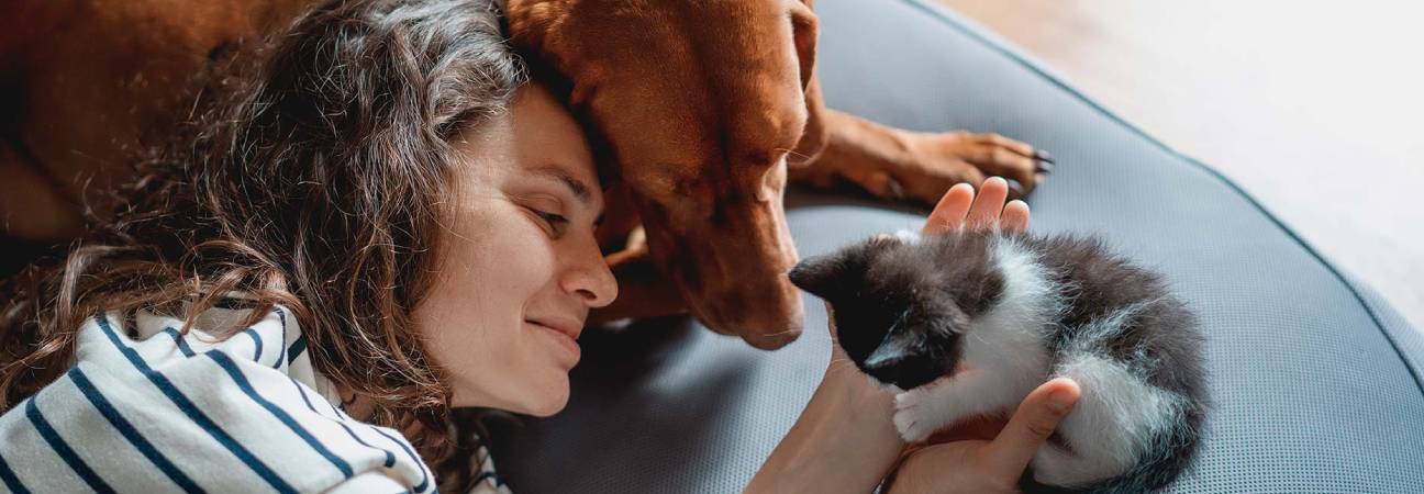 journee animaux 2024
