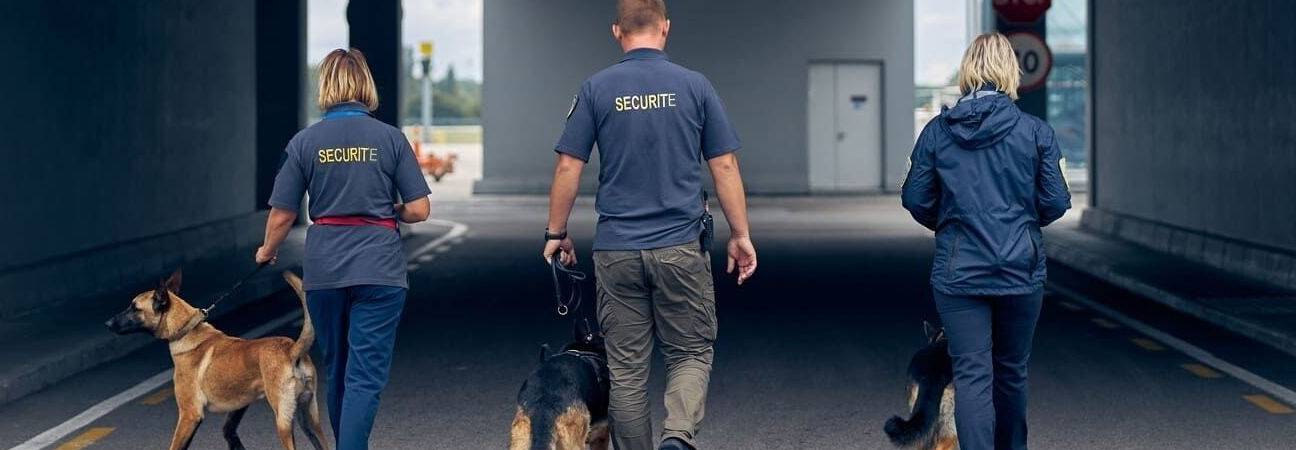 metiers recrutent securite