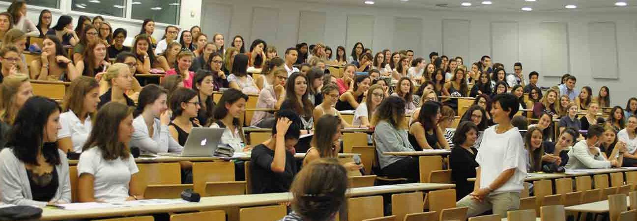 niveau reussir licence sociologie