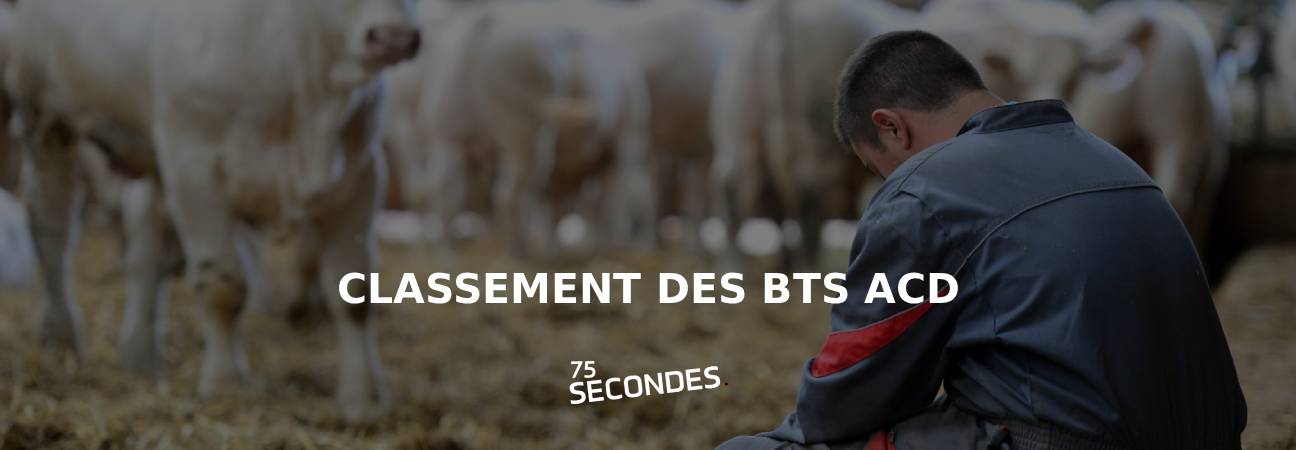 classement bts acd