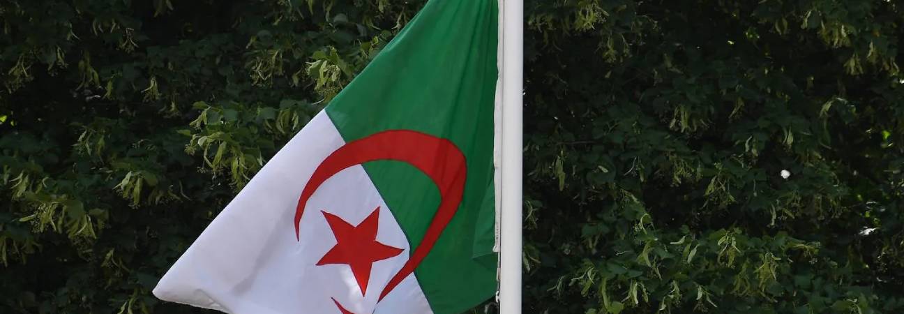 drepeau algerien