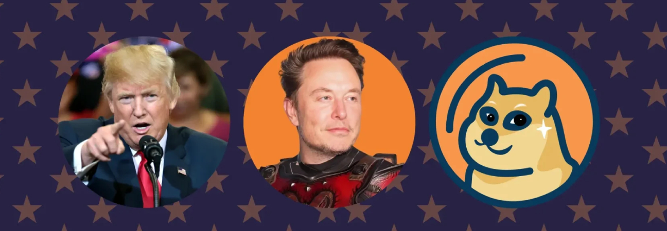 elon musk doge