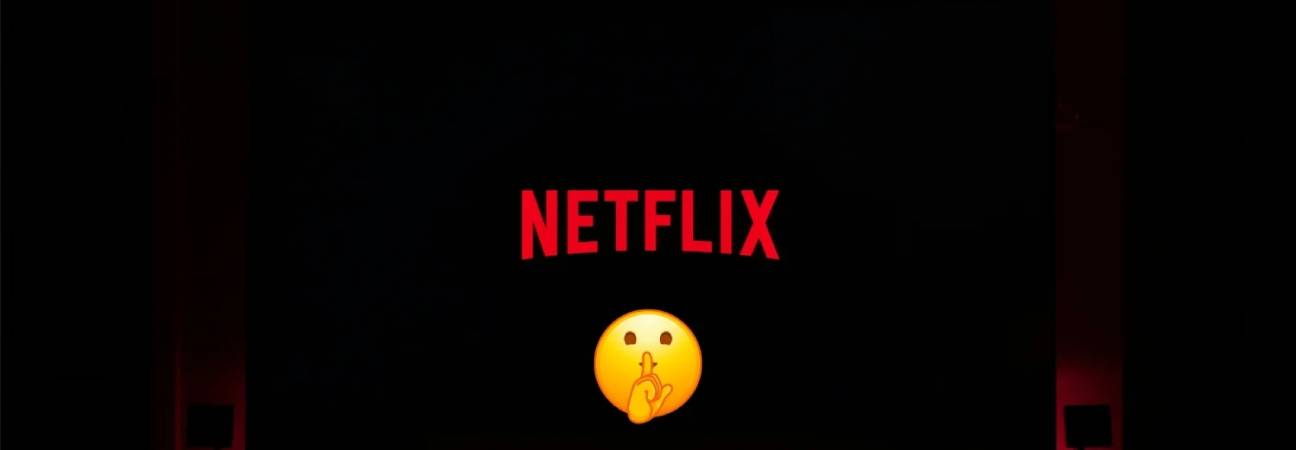 netflix evasion fiscale
