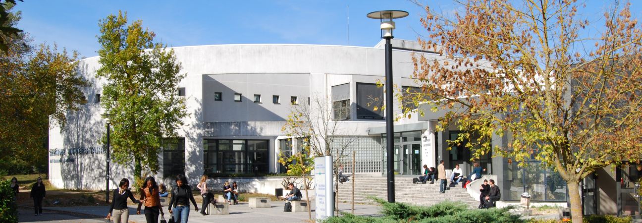 universite droit