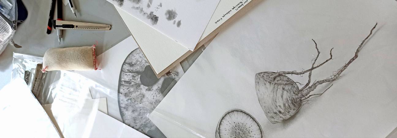 ecole illustration