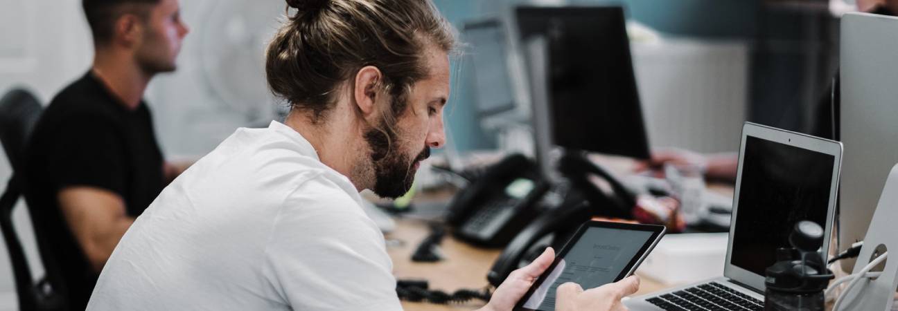 licence professionnelle