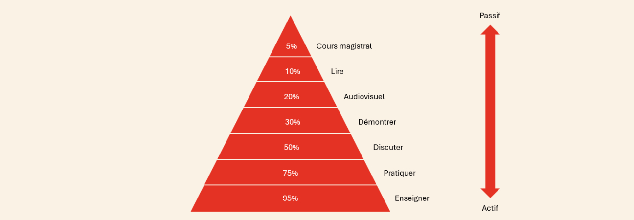 pyramide de lapprentissage