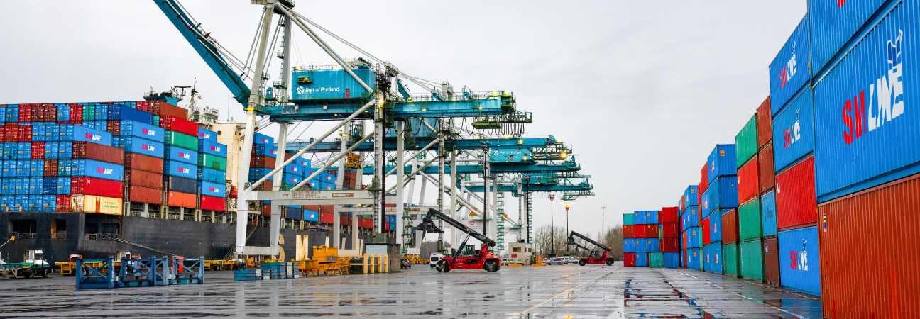 cocaine cannabis port