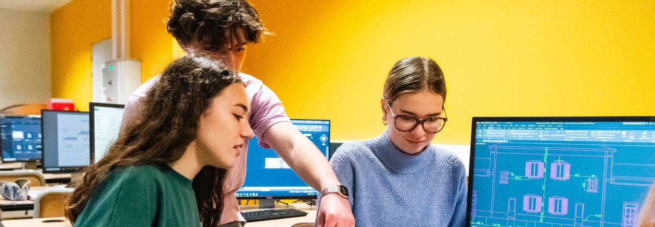 etudier ou se professionnaliser