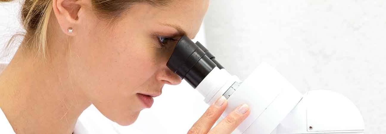licence biochimie