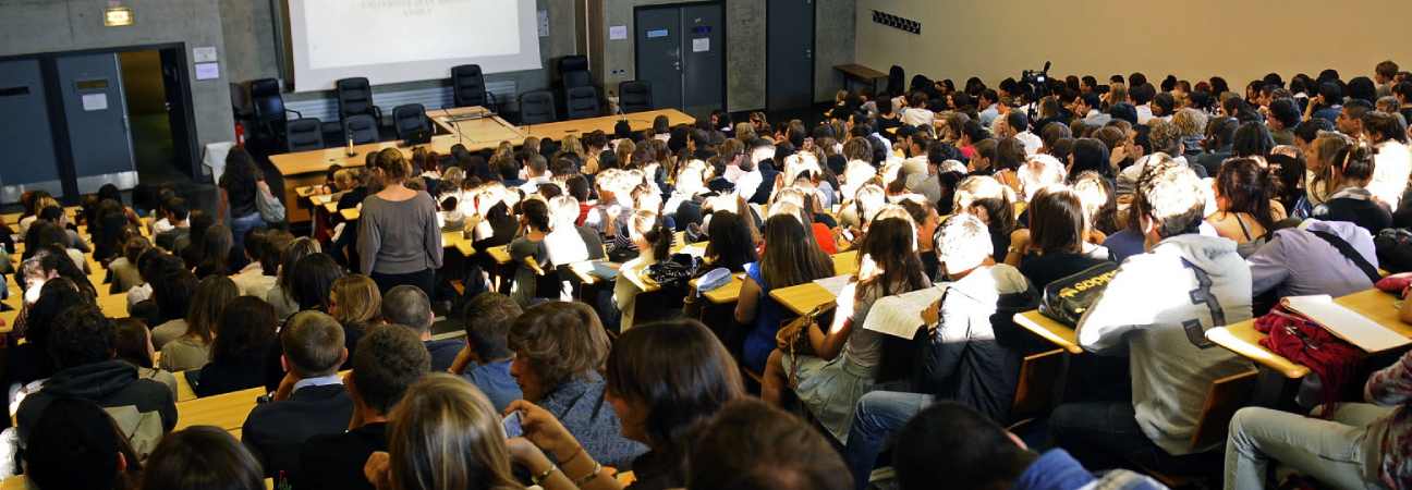 licence droit science politique