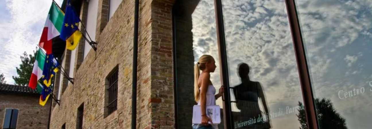 licence etude culturelle