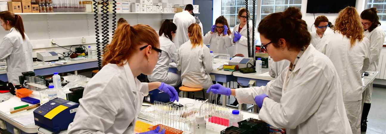 licence sciences biomedicales
