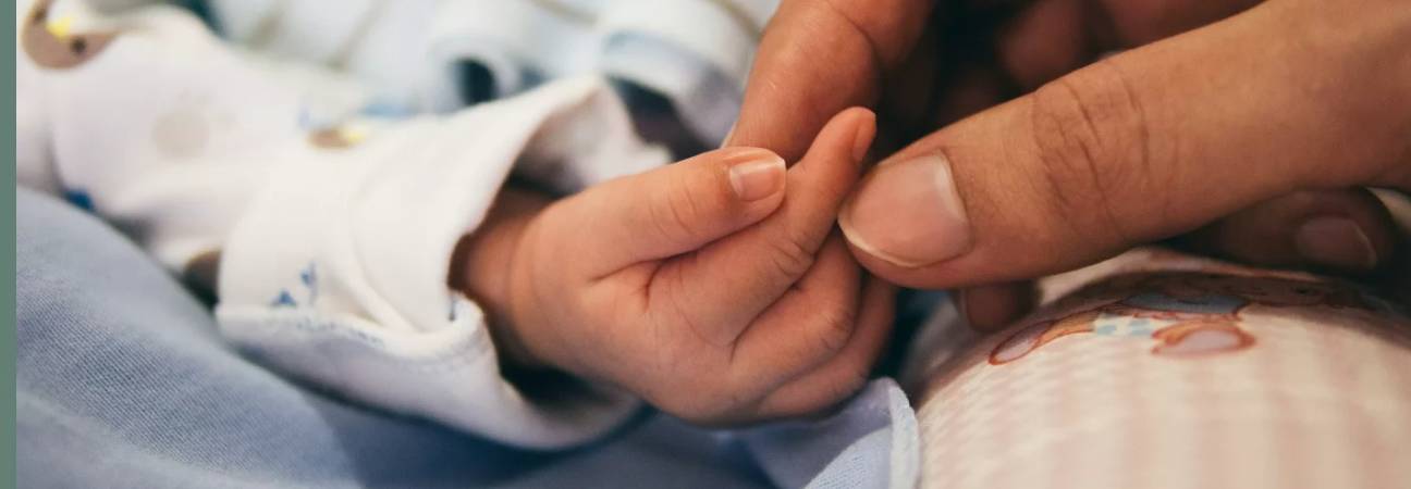 naissance bebe france 2024