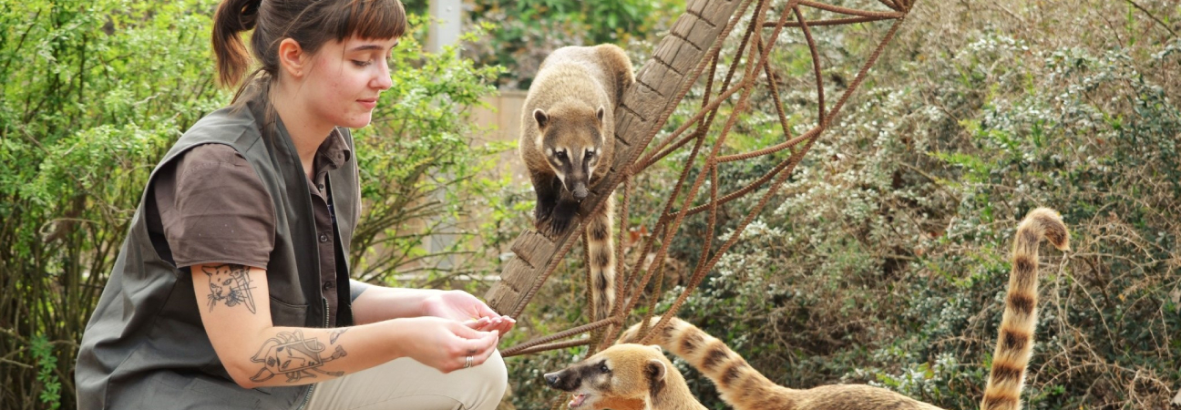 top 10 metiers animaux